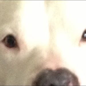 Meet your Posher, Jeff